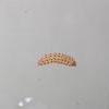 Chrysoesthia drurella larva (Photo: B Smart)