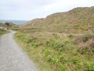 Aproaerema suecicella habitat, Cornwall 2026 (Photo © S Palmer)